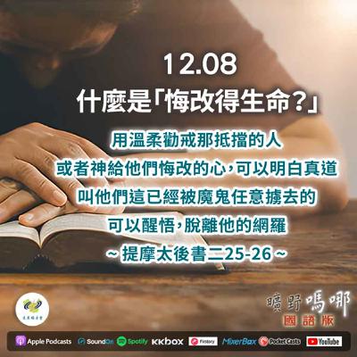曠野嗎哪-什麼是「悔改得生命?」 曠野嗎哪-什麼是「悔改得生命?」