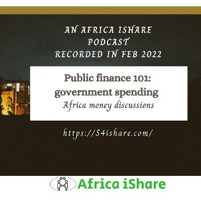 Public finance: Government spending 101 - Africa money