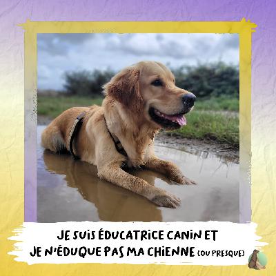 10. Je suis éducatrice canin... Et je n'éduque pas ma chienne (ou presque) ! 🫢