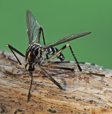 Cyprus News Digest 31st October 2025 Cyprus News Digest 31st October 2025