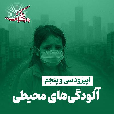 آلودگیهای محیطی آلودگیهای محیطی