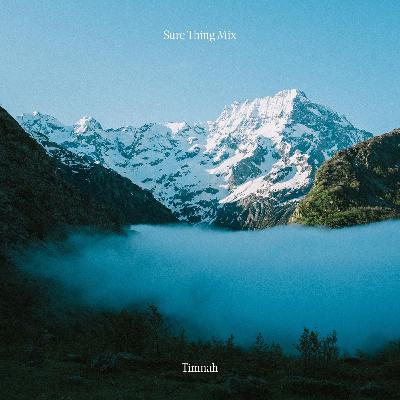 Sure Thing Mix 142: Timnah Sure Thing Mix 142: Timnah
