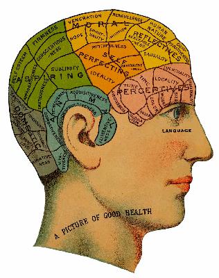 Gender Is a Scam, Part II – Science, Panic, and Policing the Binary