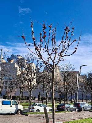 Releasing Stress When Chronic Pain and Trauma Change How I Move