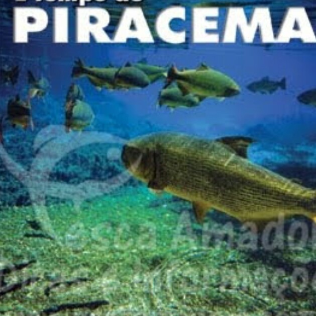 PIRACEMA: