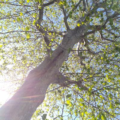 GIFT from むっちゃいい天気 GIFT from むっちゃいい天気