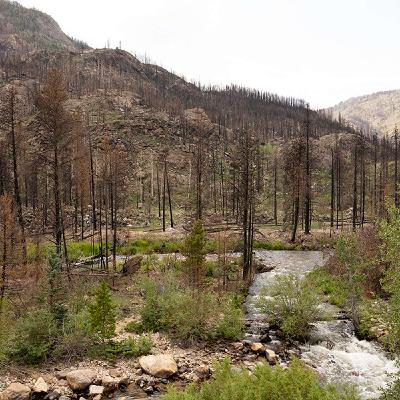 Can wildfires disrupt our sense of connectedness to beloved places? Can wildfires disrupt our sense of connectedness to beloved places?