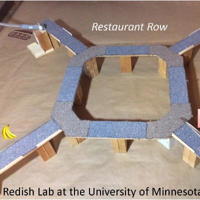 114 - 後悔ってどんな心の動き?