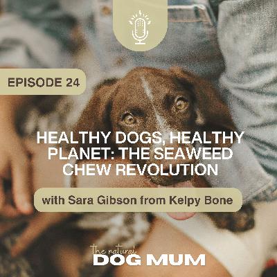 Healthy Dogs, Healthy Planet: The Seaweed Chew Revolution with Sara Gibson from Kelpy Bone