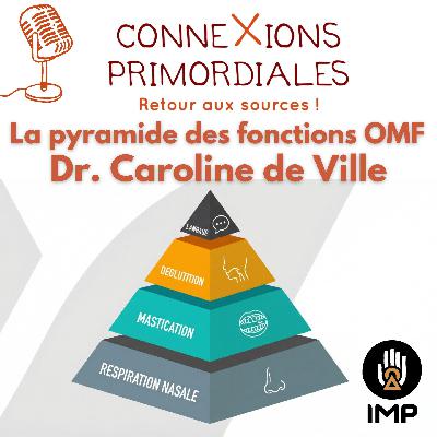 La pyramide des fonctions OMF