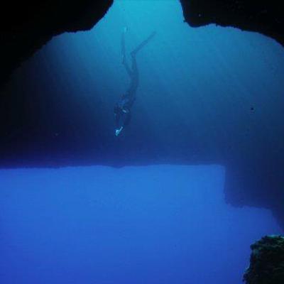 Fridykning Fridykning