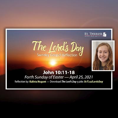 "The Lord's Day" Gospel Reflection by Kalista Nugent (John 10:11-18, for Forth Sunday of Easter, April 25, 2021)