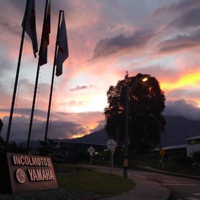 Feedback Músculo en Entrenamiento