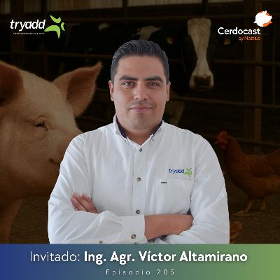 #205 - Producción multiespecie: Riesgos, retos y soluciones - Ing. Agr. Víctor Altamirano