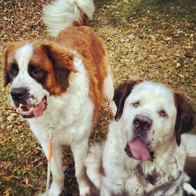 Butch and Sundance: My Ida Diary