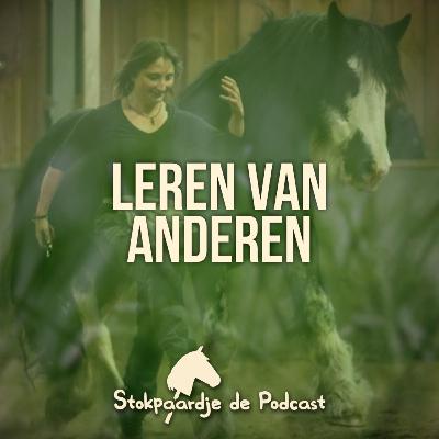 #13 Leren van anderen met Marieke van der Meer #13 Leren van anderen met Marieke van der Meer