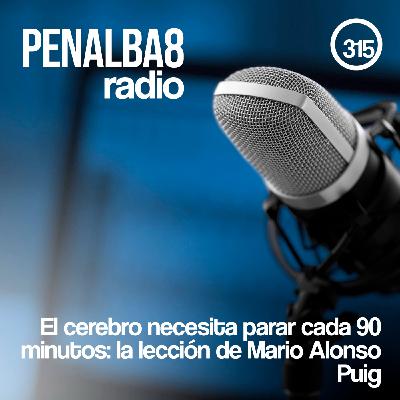El cerebro necesita parar cada 90 minutos: la lección de Mario Alonso Puig