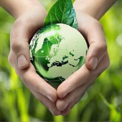 Desempenho Ambiental - Artigo 2