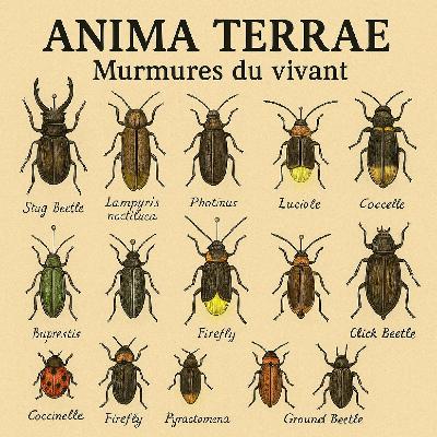 Lucioles: La danse fragile