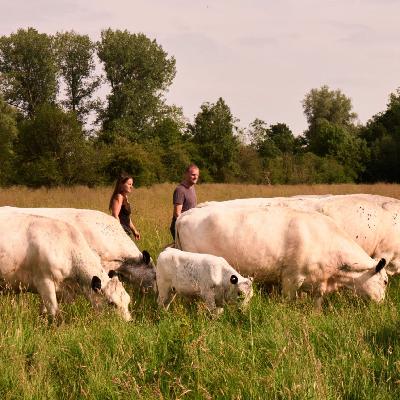 Farming, Fashion and a £254,000 grant - an update from James and Katie Allen