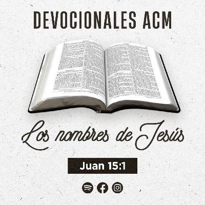 Los nombres de Jesús | Juan 15:1 Los nombres de Jesús | Juan 15:1