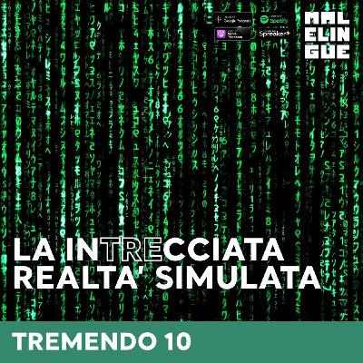 #10 - La intrecciata realtà simulata
