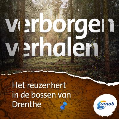 Het reuzenhert in de bossen van Drenthe