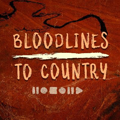 Welcome to Bloodlines To Country Welcome to Bloodlines To Country