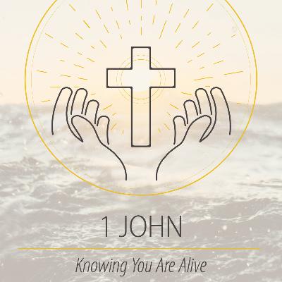 Loving with the Love of Christ (1 John 3:11-18)