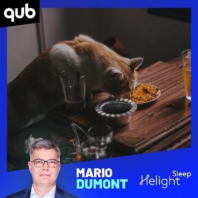 «Ça pourrait aider plusieurs familles»: vers la fin de la TVQ sur la nourriture pour animaux?