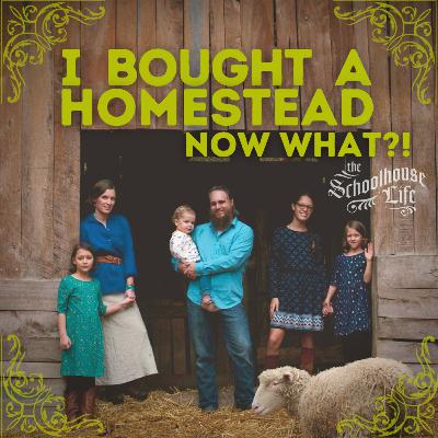 Herding Dogs on the Homestead Herding Dogs on the Homestead