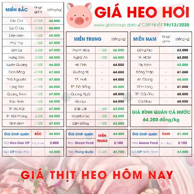 GIÁ HEO HƠI 19/12/2025 ✅ GIÁ THỊT LỢN & TIN TỨC CHĂN NUÔI #GIAHEOHOI #GIATHITHEO #GIAHEOUPDATE