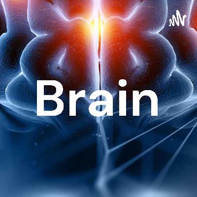 Brain (Trailer) Brain (Trailer)