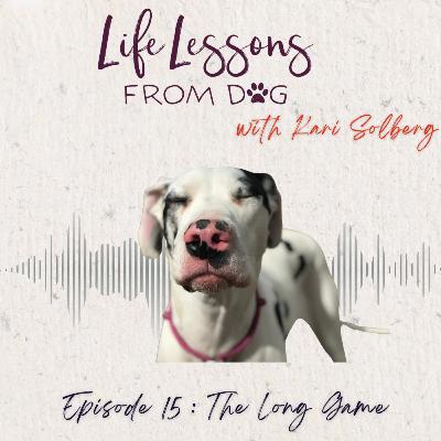 The Long Game : What Dogs Teach Us About Sticking With It