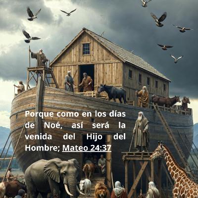 Los Días De Noé T7 Ep3