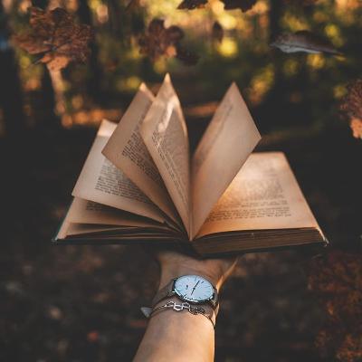 Як навчитися читати книжки і полюбити це заняття Як навчитися читати книжки і полюбити це заняття