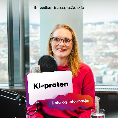 KI og datainformasjon: Du kan ha skyld i de dårlige svarene fra KI