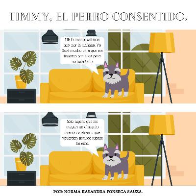 Timmy, el perro consentido.