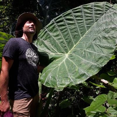 S2/E4: Jason Guzmer and the Solar Nest