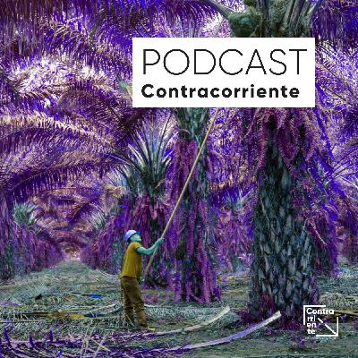 EXPO CADF 2022 - Refundar el país en la era del autoritarismo centroamericano