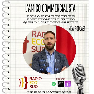 L'amico commercialista 18 puntata