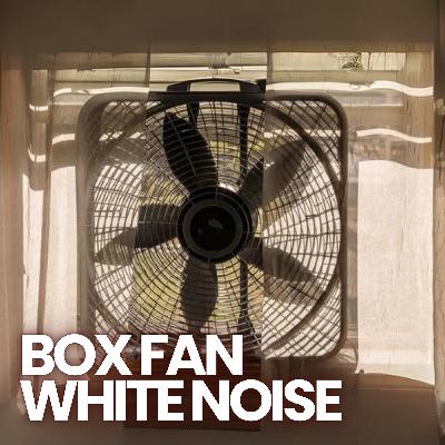 🌬 BOX FAN WHITE NOISE | 10 Hours Soothing Sleep Sounds Good For Focus, Studying, Homework | ASMR