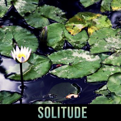 Episode 3: Solitude Episode 3: Solitude