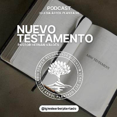 1 - El nacimiento de Jesús ( Mateo 1)