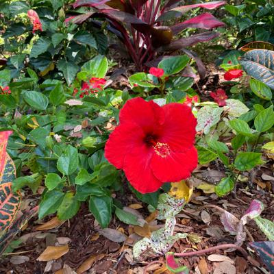 My top 5 games and why