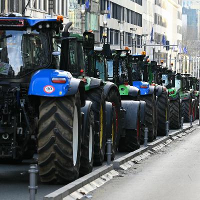 Verhandlungen über Mercosur-Abkommen - Die Sorgen der Bauern