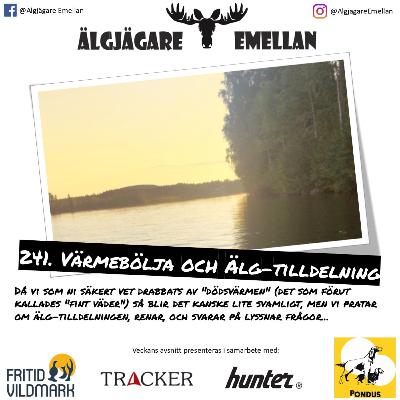 241. Värmebölja & Älg-tilldelning
