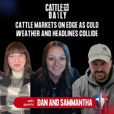 248: Cattle Markets on Edge as Cold Weather and Headlines Collide with Dan and Samantha