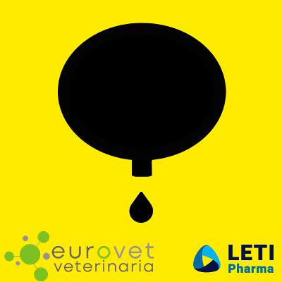 72. Infecciones de orina y cómo manejarlas en #perros y #gatos 72. Infecciones de orina y cómo manejarlas en #perros y #gatos