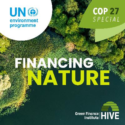 COP27 Special Series: Teaser